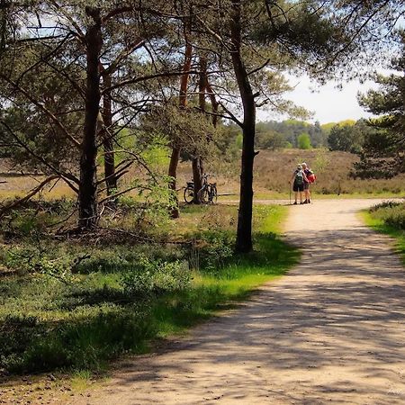 Luxe Woodlodge In Een Prachtige En Bosrijke Omgeving Bornerbroek Dış mekan fotoğraf
