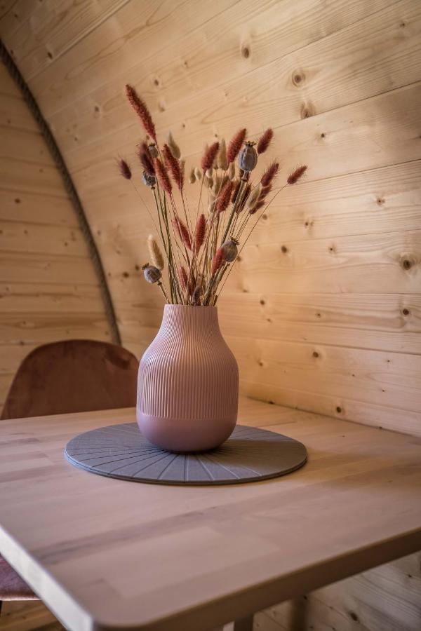 Luxe Woodlodge In Een Prachtige En Bosrijke Omgeving Bornerbroek Dış mekan fotoğraf